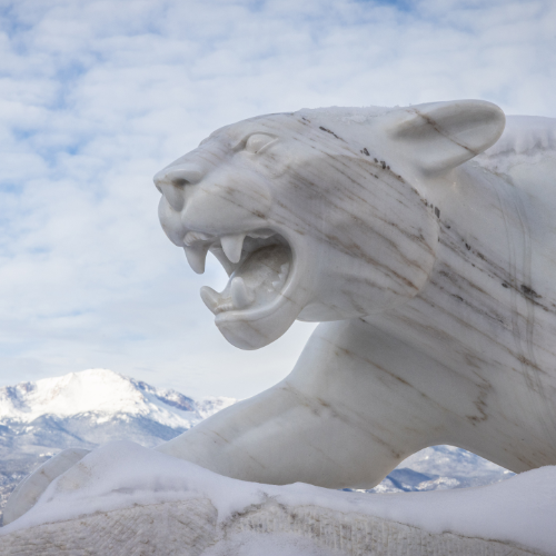 UCCS mountain lion statue in the snow.