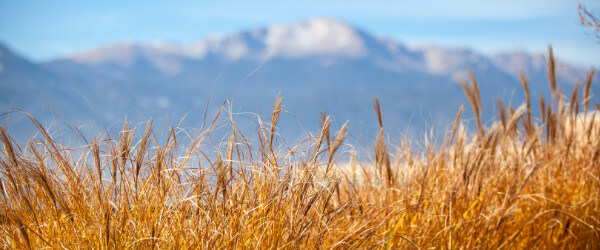 Photo of Pikes Peak from UCCS campus