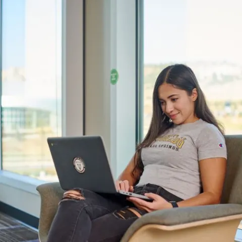 Student working on laptop