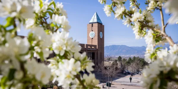 Image of UCCS clocktower, framed by springtime flowers. 