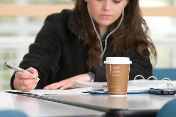 Female student studying in front of a window